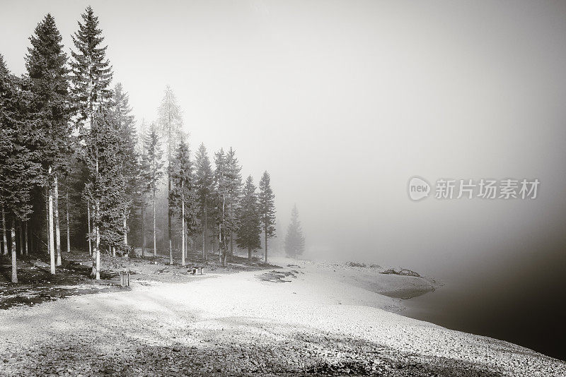 Dolomites Alps, Lake Braies, Pragser Wildsee, 南蒂罗尔, 意大利